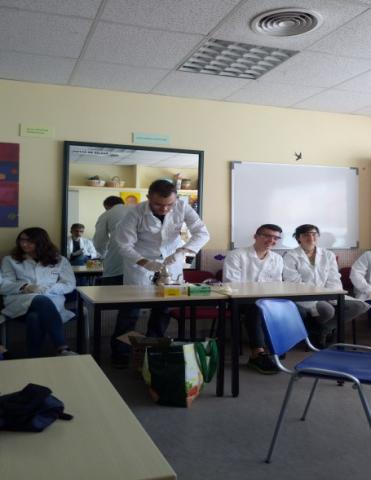 Alumnos participando en el taller de química